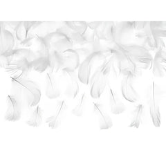 Piórka Dekoracyjne Białe, 3g