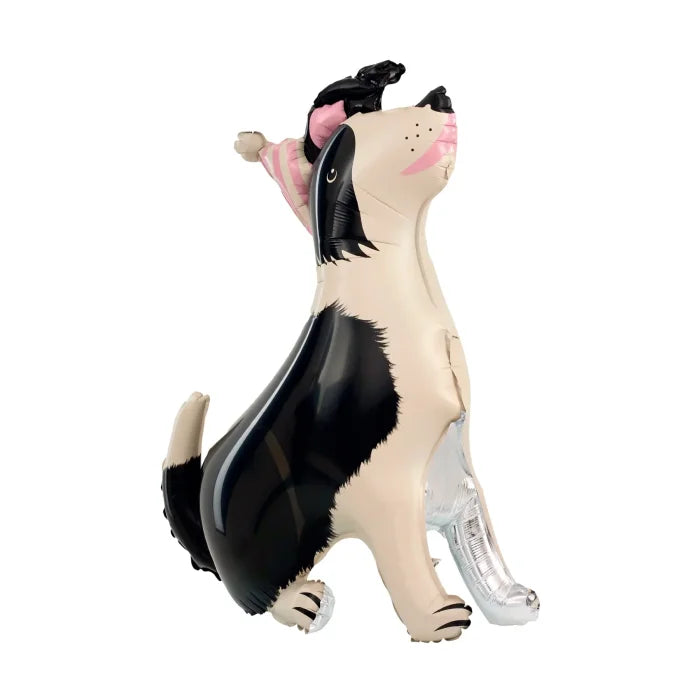 Balon foliowy stojący Pies Border Collie z czapeczką 76 × 92 cm – idealna dekoracja na urodziny i imprezy dziecięce
