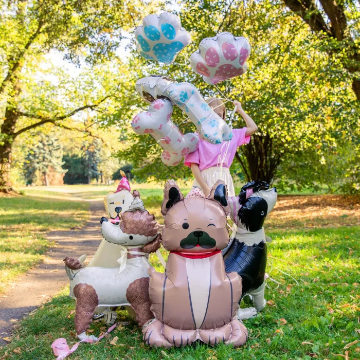 Balon foliowy stojący Pies Border Collie z czapeczką 76 × 92 cm – idealna dekoracja na urodziny i imprezy dziecięce