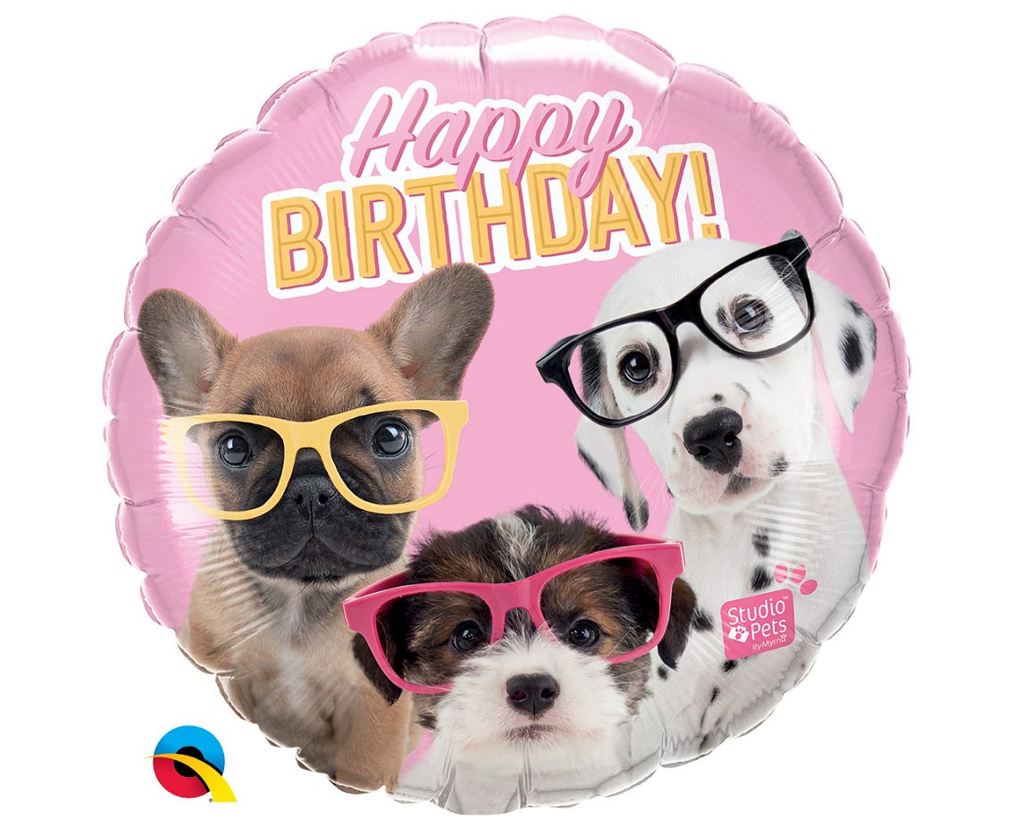 Balon foliowy 18 cali QL Birthday Puppies with Eyeglasses